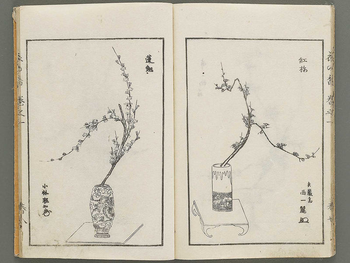 Soka koromonoka Volume 1 by Hishikawa Sori / BJ335-167