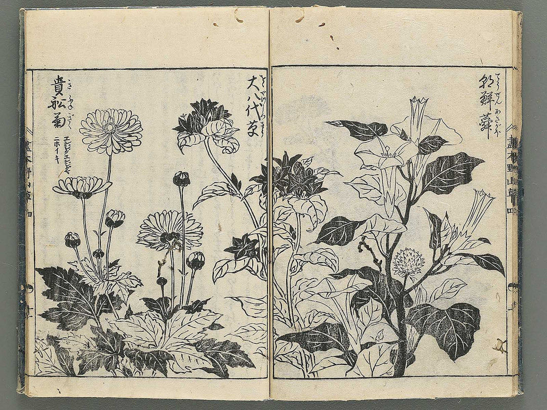 Gahon noyama gusa Volume 4 / BJ346-332
