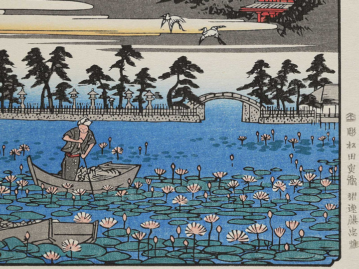 Ueno shinobazu hasuike from the series Toto meisho by Utagawa Hiroshige, (Large print size) / BJ342-720