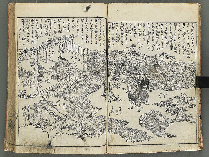 Onna gojokun yamato ori / BJ345-863