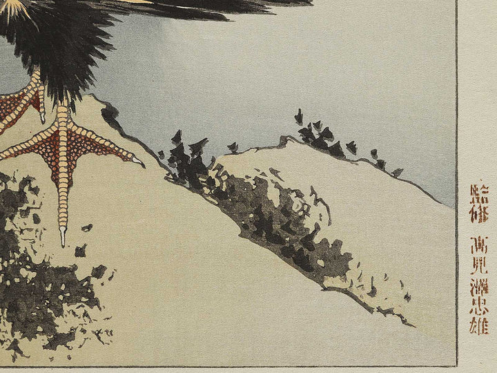 A cormorant stands resolute at the head of a rock by the sea by Katsushika Hokusai, (Medium print size) / BJ325-017