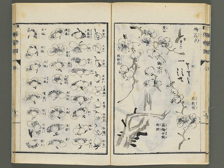 Kanga dokugakufu (Jo) by Matsuoka Masamori / BJ345-156