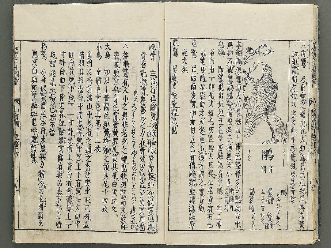 Wakan sansai zue Volume 44 / BJ349-216