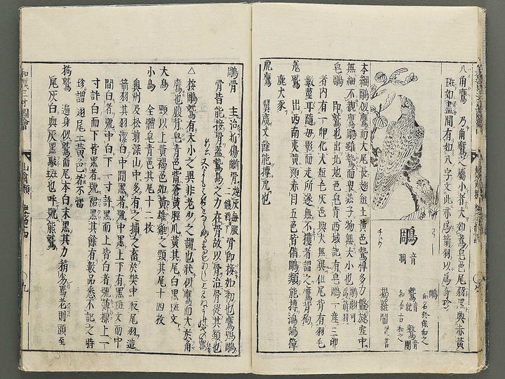 Wakan sansai zue Volume 44 / BJ349-216