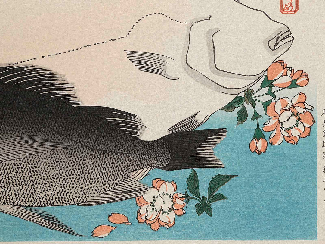 Halibut, Rockfish & Cherry Blossoms from the series the series FISH by Utagawa Hiroshige, (Large print size) / BJ237-664