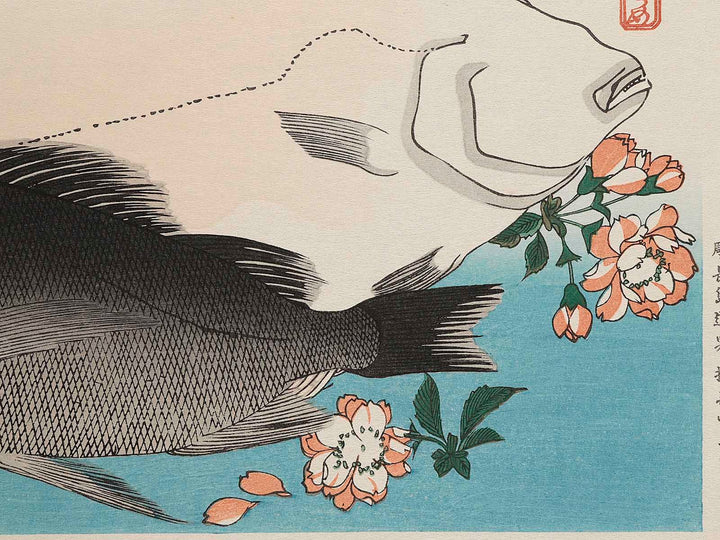 Halibut, Rockfish & Cherry Blossoms from the series the series FISH by Utagawa Hiroshige, (Large print size) / BJ237-664