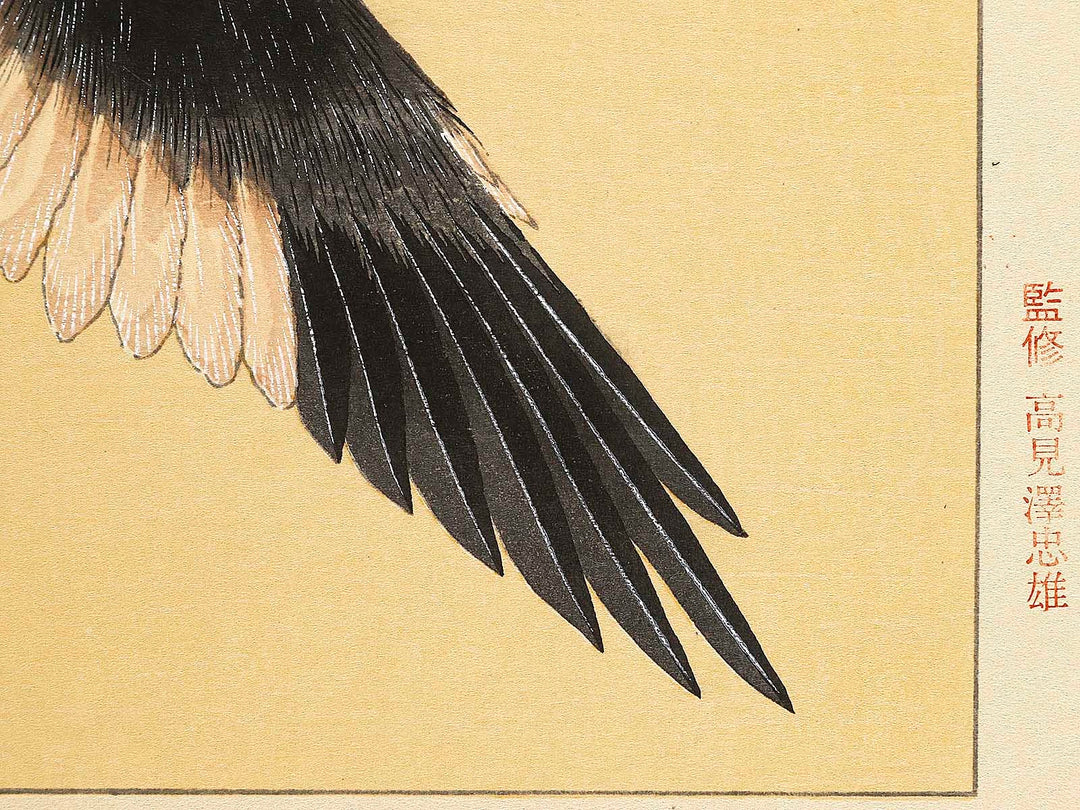 Konotori by Katsushika Hokusai, (Medium print size) / BJ319-634