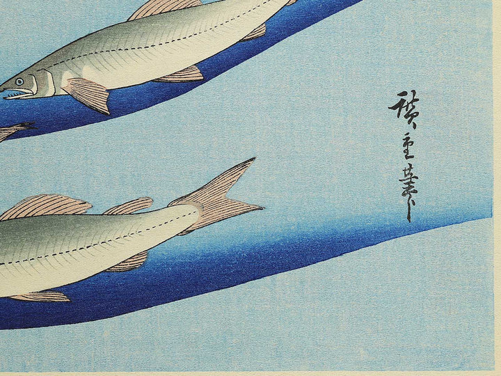 Ayu from the series the series FISH by Utagawa Hiroshige, (Medium print size) / BJ330-554