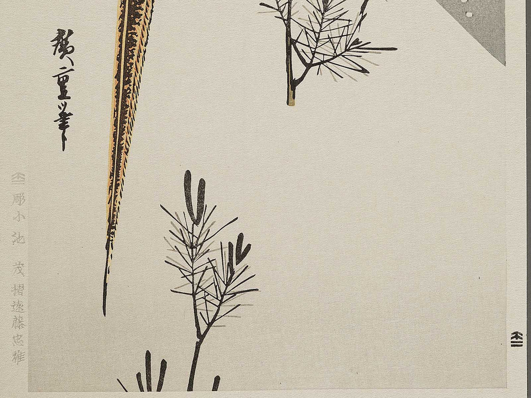 Secchu komatsu ni nishikikiji by Utagawa Hiroshige, (Medium print size) / BJ328-104