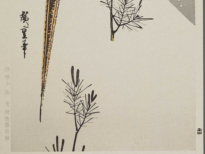 Secchu komatsu ni nishikikiji by Utagawa Hiroshige, (Medium print size) / BJ328-104