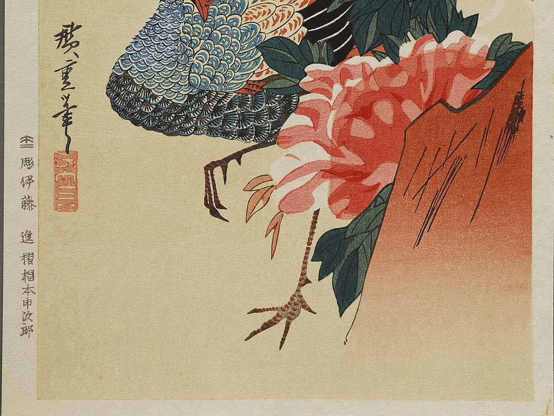 Paeony & Peacock by Utagawa Hiroshige, (Medium print size) / BJ328-181