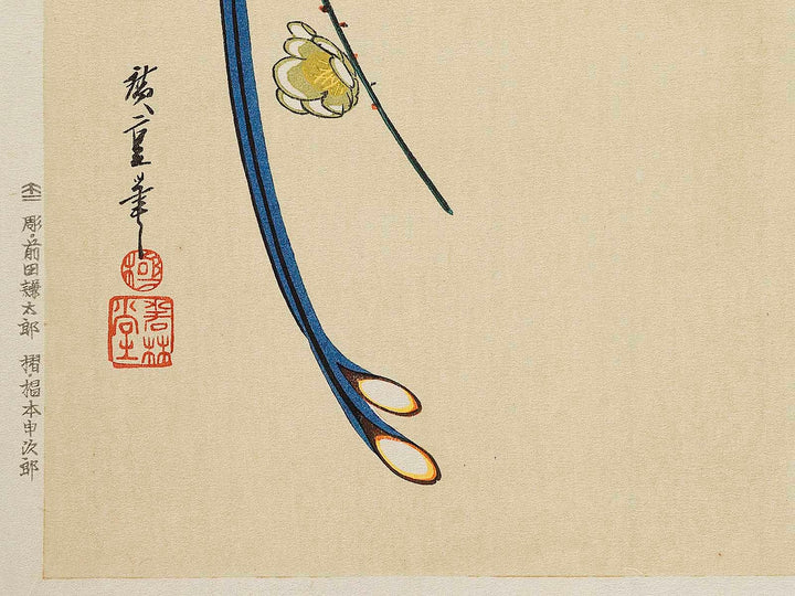 White plum blossoms & long tailed cock by Utagawa Hiroshige, (Medium print size) / BJ328-090