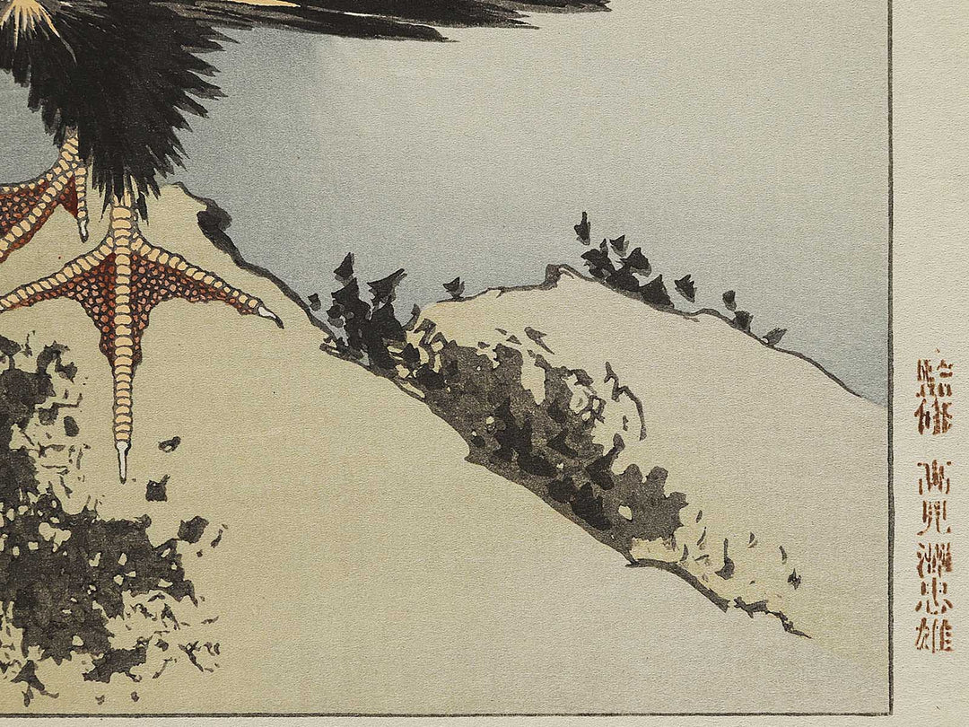 A cormorant stands resolute at the head of a rock by the sea by Katsushika Hokusai, (Medium print size) / BJ325-017