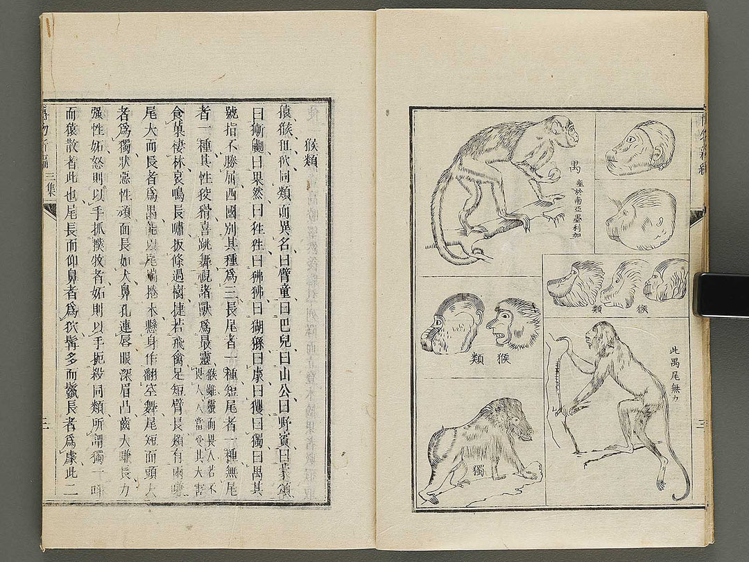 Hakubutsu Shinpen Volume 3 / BJ336-476