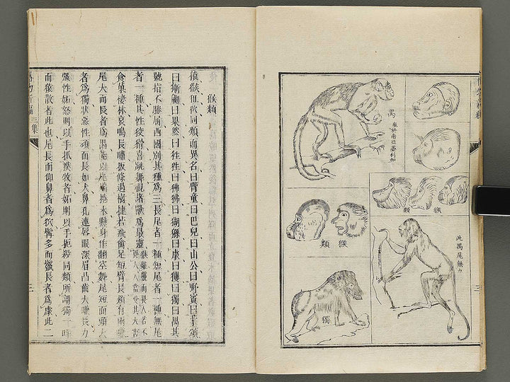 Hakubutsu Shinpen Volume 3 / BJ336-476