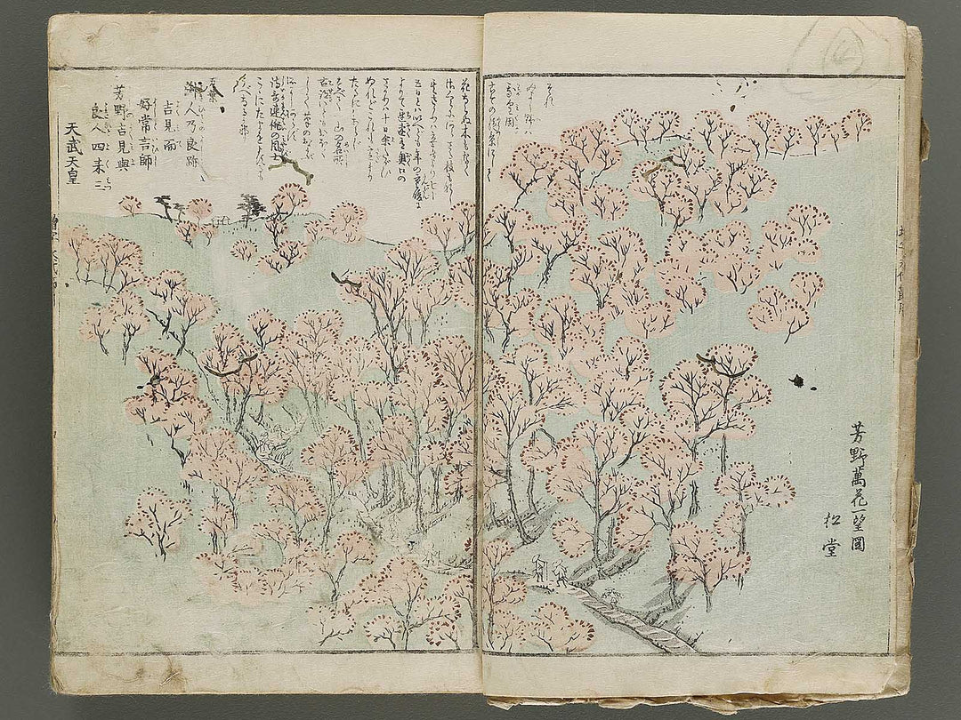 Shinsen dainihon eitai setsuyo mujinzo / BJ337-960