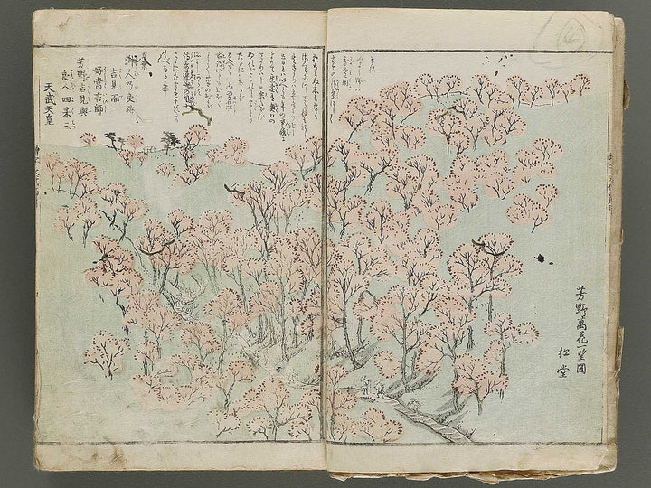 Shinsen dainihon eitai setsuyo mujinzo / BJ337-960
