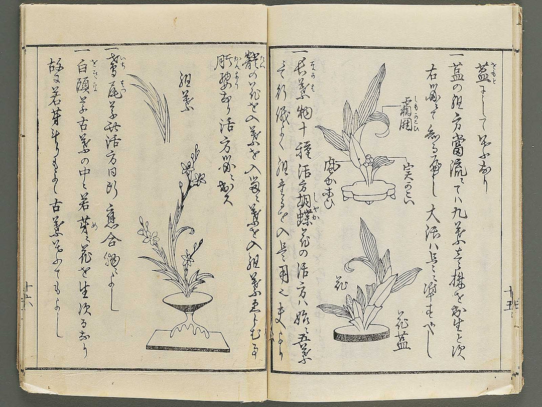 Koshu onryu kajutsu chuden no maki / BJ347-872
