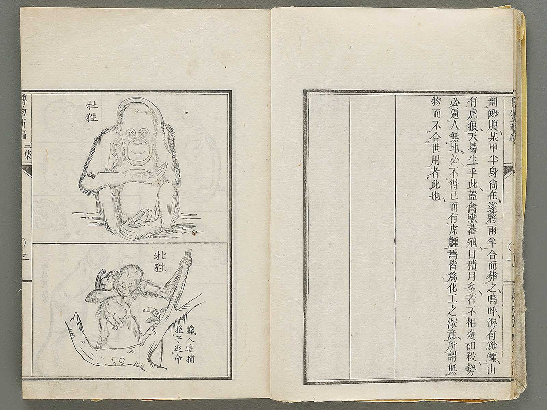 Hakubutsu Shinpen Volume 3 / BJ330-869
