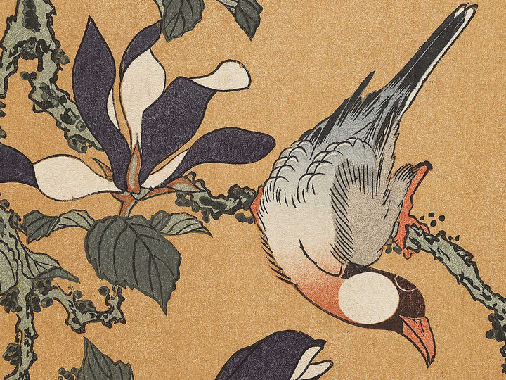 Buncho kobushi no hana by Katsushika Hokusai, (Large print size) / BJ331-674