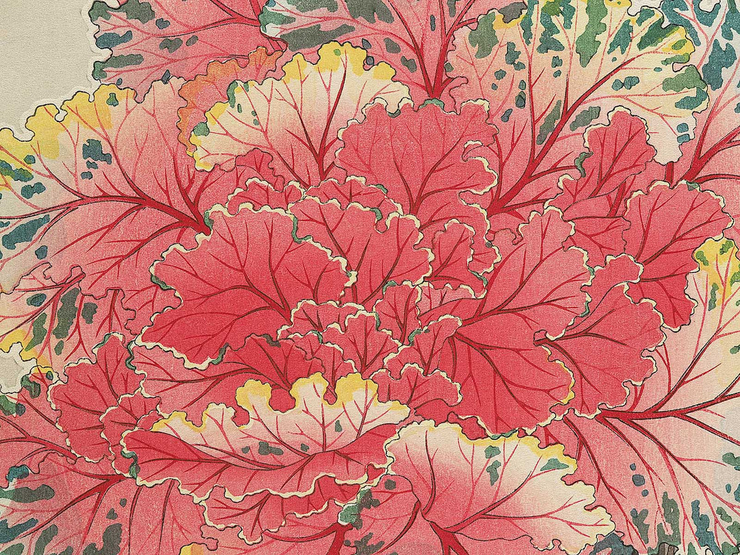 Habotan by Kawarazaki Shodo, (Large print size) / BJ346-269