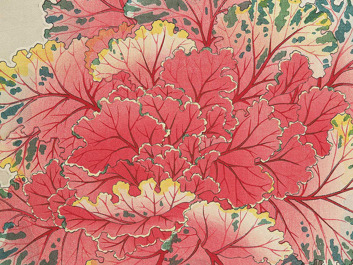 Habotan by Kawarazaki Shodo, (Large print size) / BJ346-269