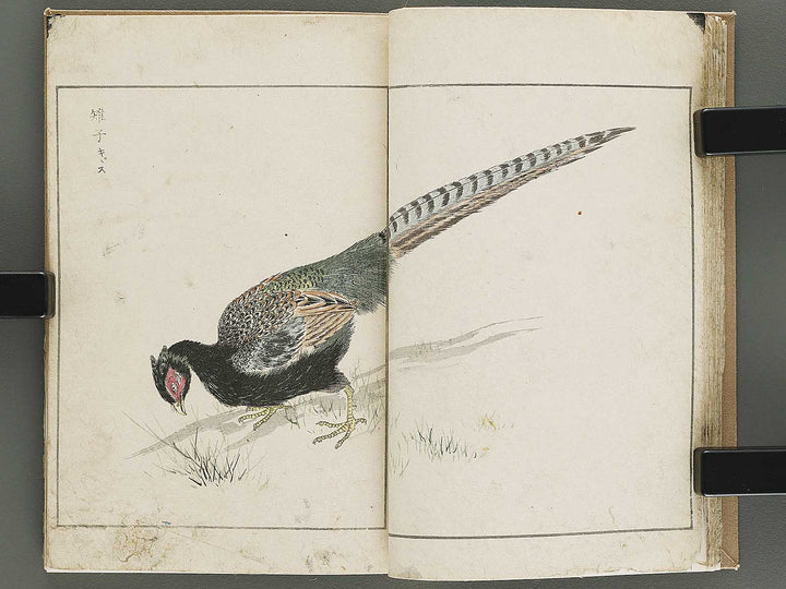 Shucho gafu (Jin) (Part 3 of 3) by Numata Kashu / BJ339-752