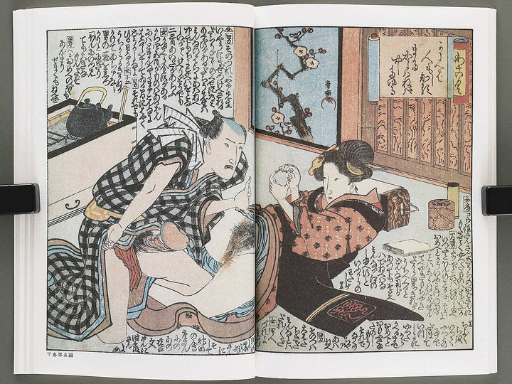 Otome sugata Volume 9 by Utagawa Kunitora / BJ346-500