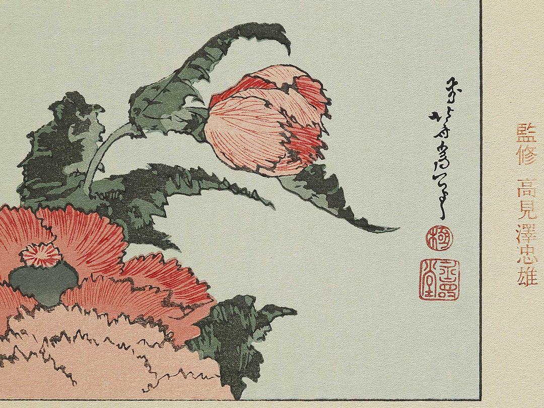 A poppy by Katsushika Hokusai, (Medium print size) / BJ327-334