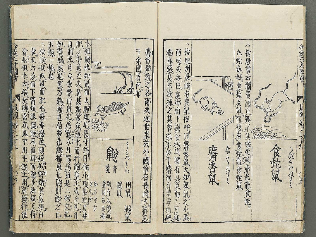 Wakan sansai zue Part 39, Book 40 / BJ349-223