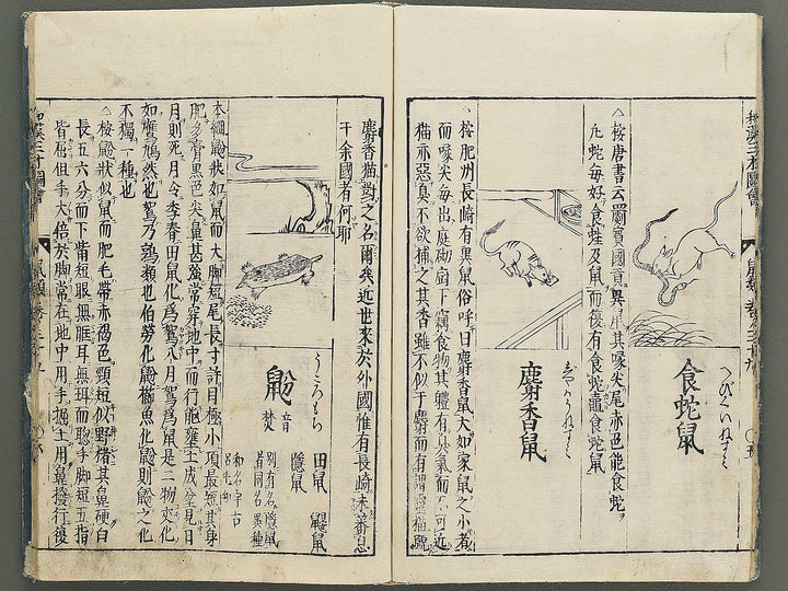 Wakan sansai zue Part 39, Book 40 / BJ349-223