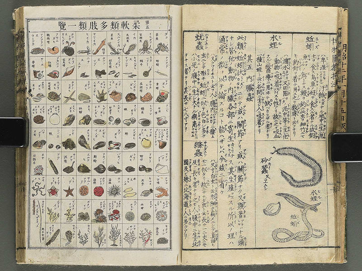 Hakubutsu kyojyuho Volume 4-5 by           / BJ344-729