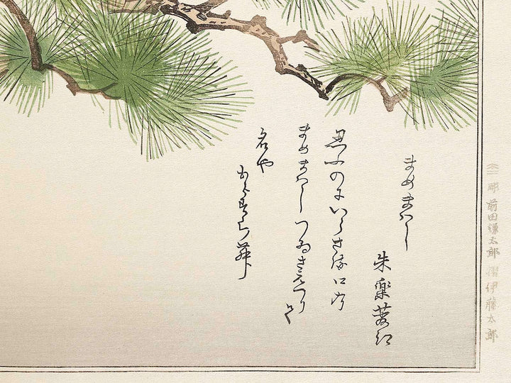 Japanese Grosbeak and Woodpecker from the series Momochidori kyokaawase by Kitagawa Utamaro, (Large print size) / BJ328-027