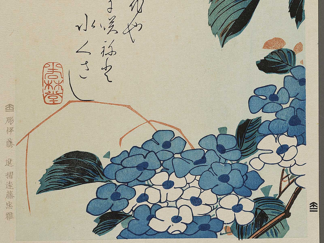 Hydrangea glue cicada by Utagawa Hiroshige, (Medium print size) / BJ328-153