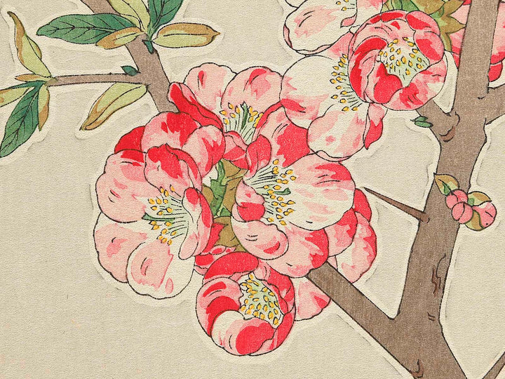 Boke by Kawarazaki Shodo, (Large print size) / BJ346-255