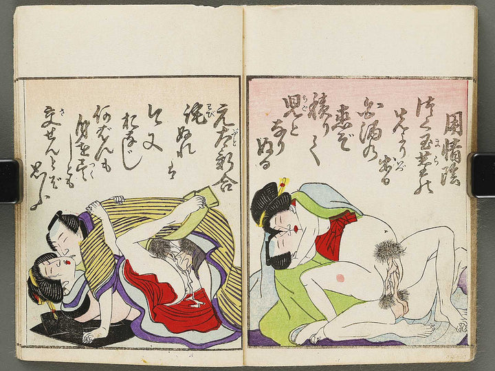 Shunga / BJ310-849