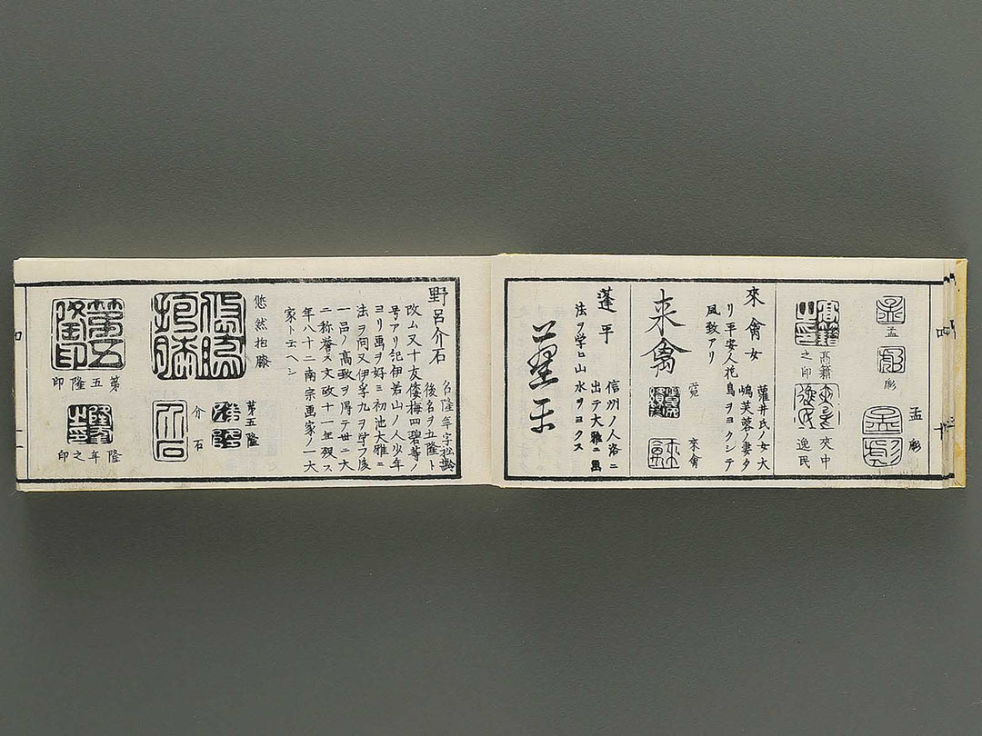 Shoga hikkei meika zensho Volume 4 / BJ348-621
