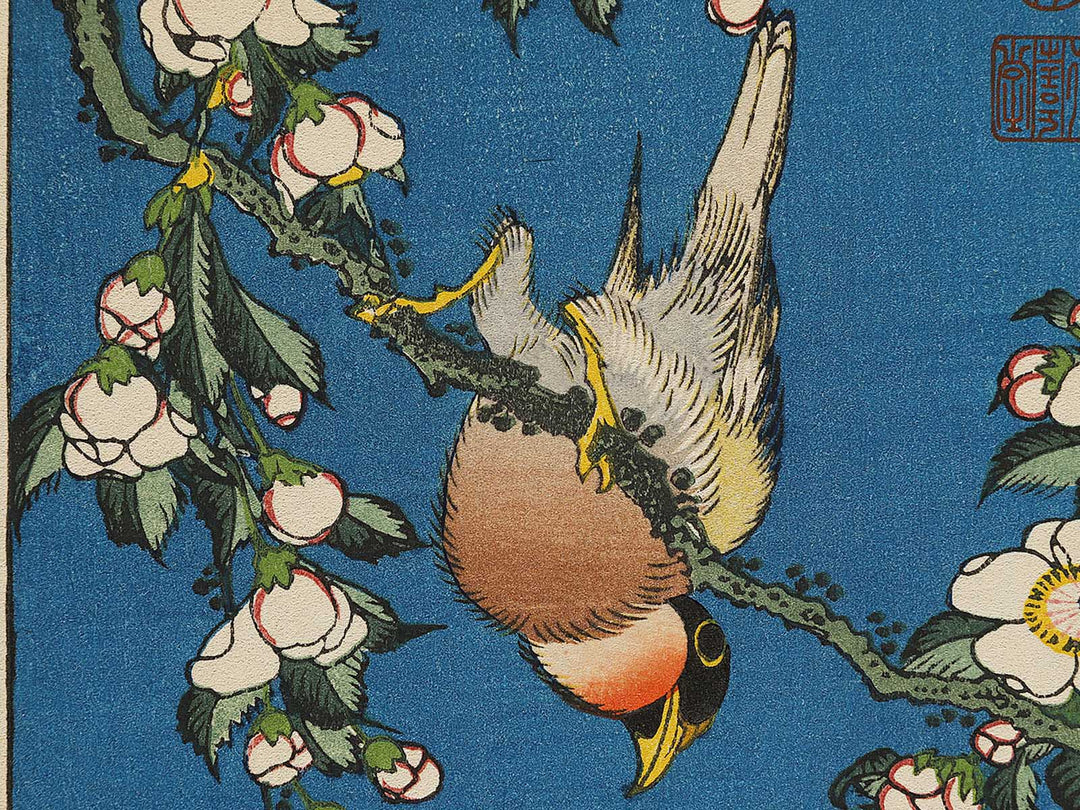 Weeping cherry blossoms against a dark indigo background, capturing the moment a Japanese bullfinch comes to peck at the blossoms. by Katsushika Hokusai, (Medium print size) / BJ323-708