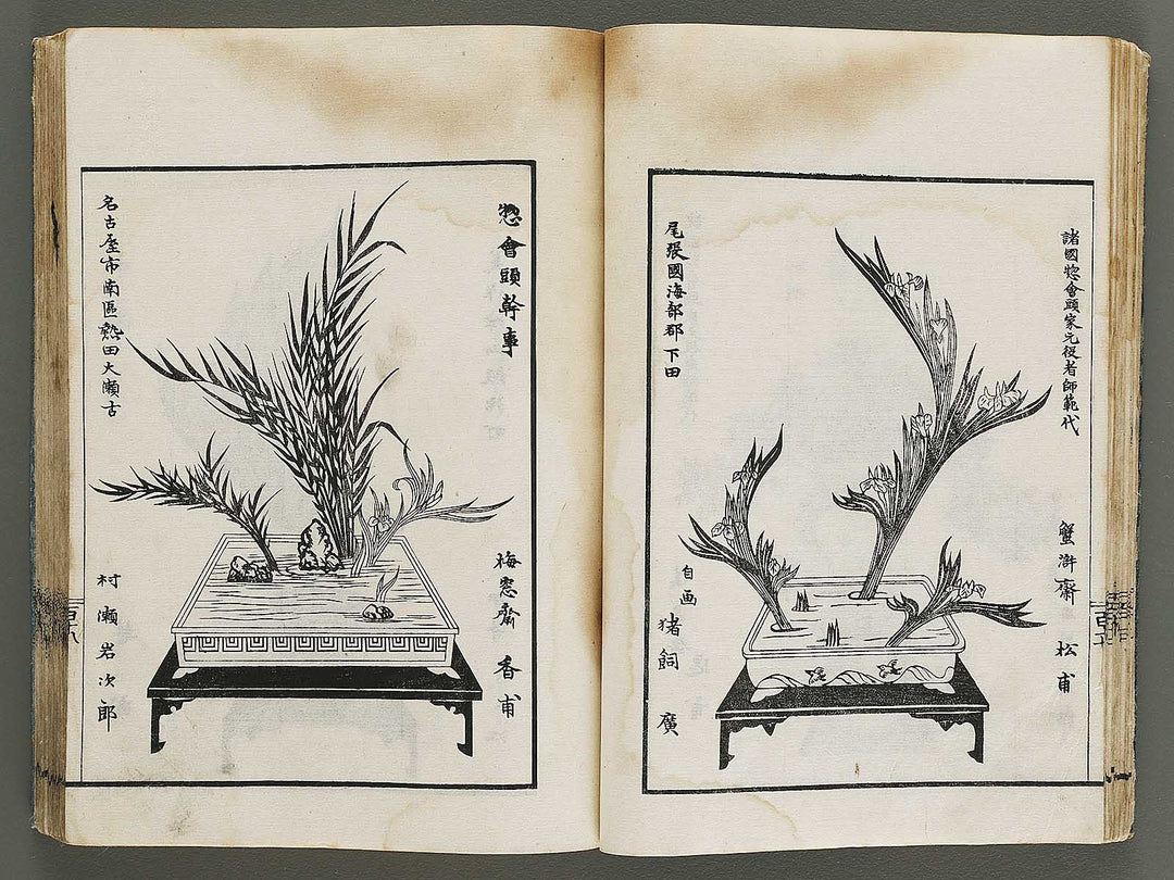 Kinen soka sanko no kaori (Ge) by Sawamura Riho / BJ324-688