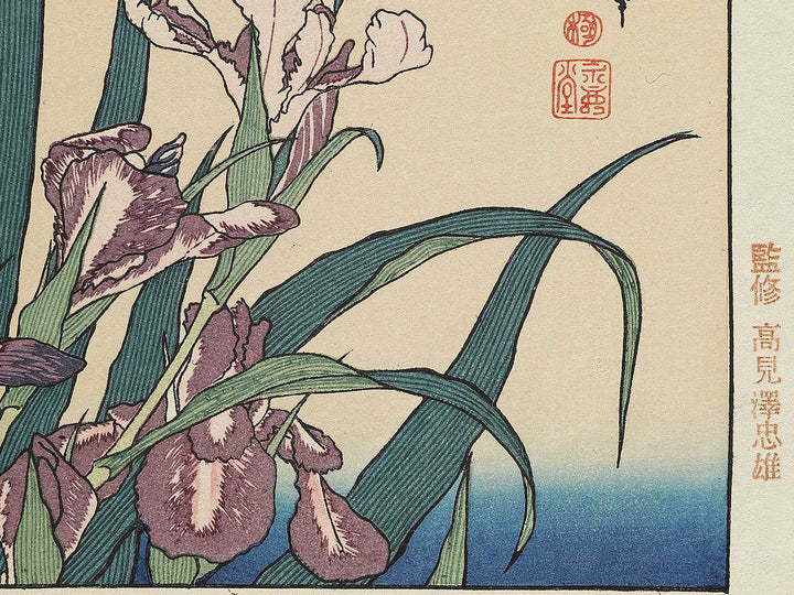 Iris and Grasshopper by Katsushika Hokusai, (Medium print size) / BJ327-432