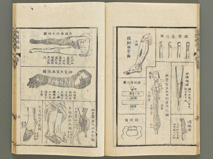 Seii ryakuron (Jo) / BJ326-312