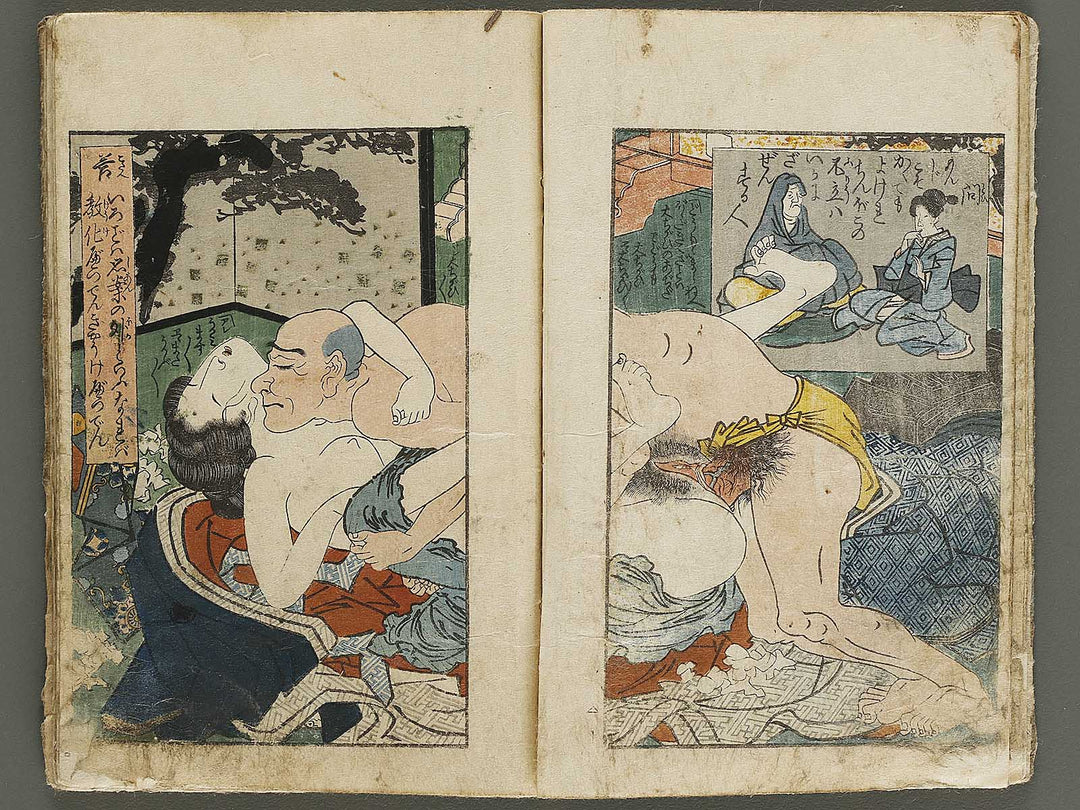 Ikku zenji shoshiki mondo (Chu) by Yanagawa Shigenobu / BJ336-805