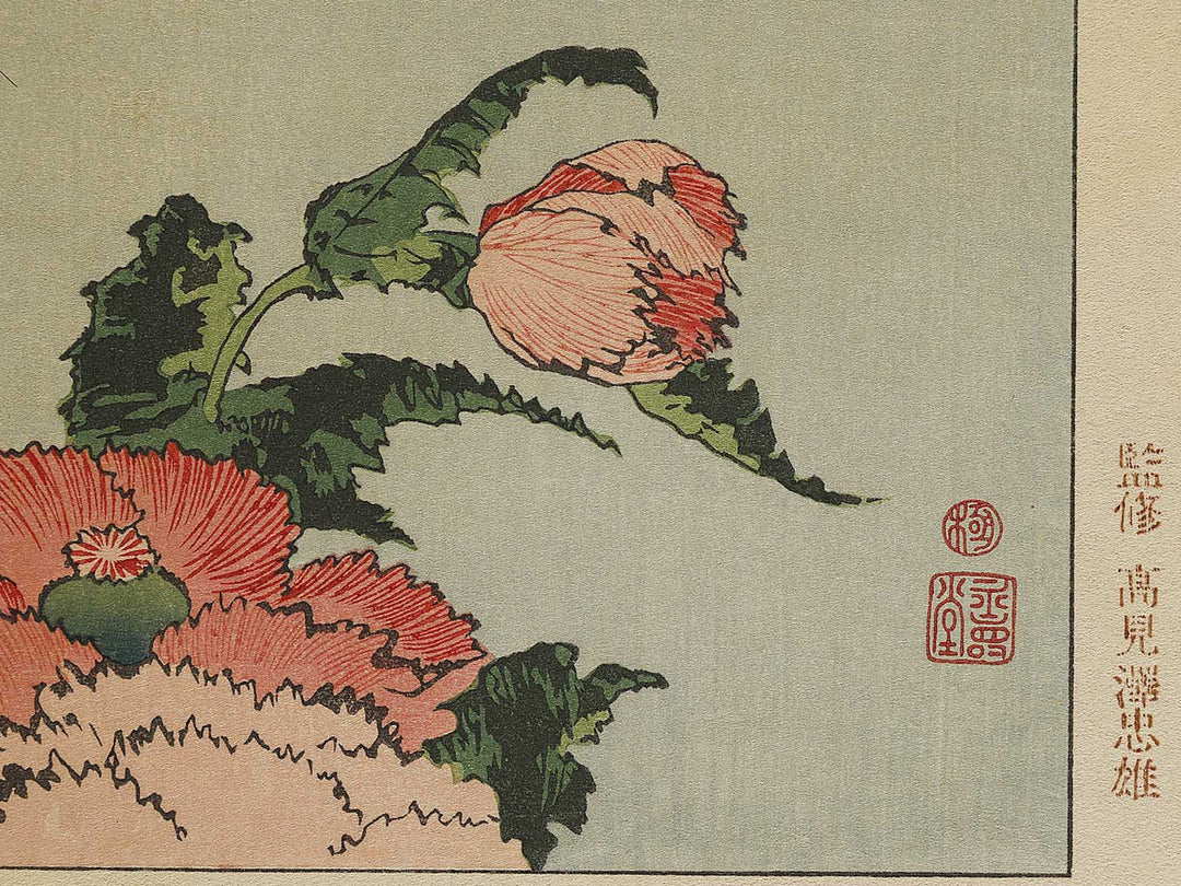 A poppy by Katsushika Hokusai, (Medium print size) / BJ321-734
