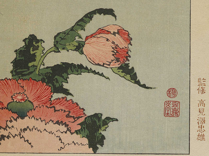 A poppy by Katsushika Hokusai, (Medium print size) / BJ321-734