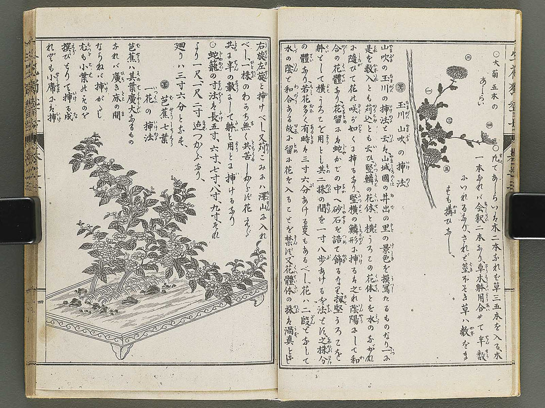 Shoryu hiden ikebana hitorigeiko Volume 3 / BJ347-942