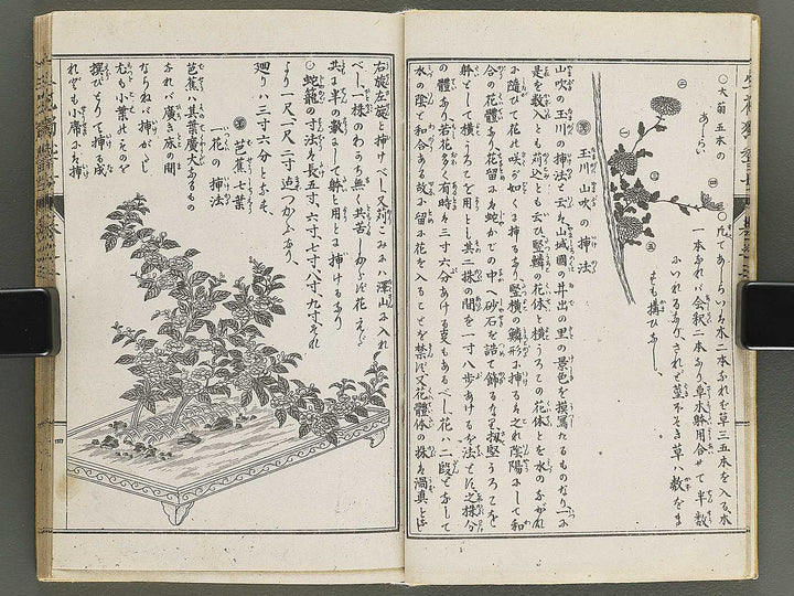 Shoryu hiden ikebana hitorigeiko Volume 3 / BJ347-942