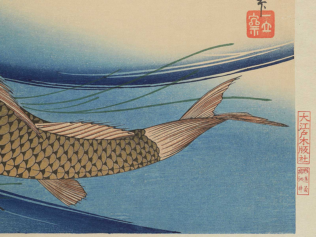 Japanese Carp from the series the series fish by Utagawa Hiroshige, (Large print size) / BJ350-224