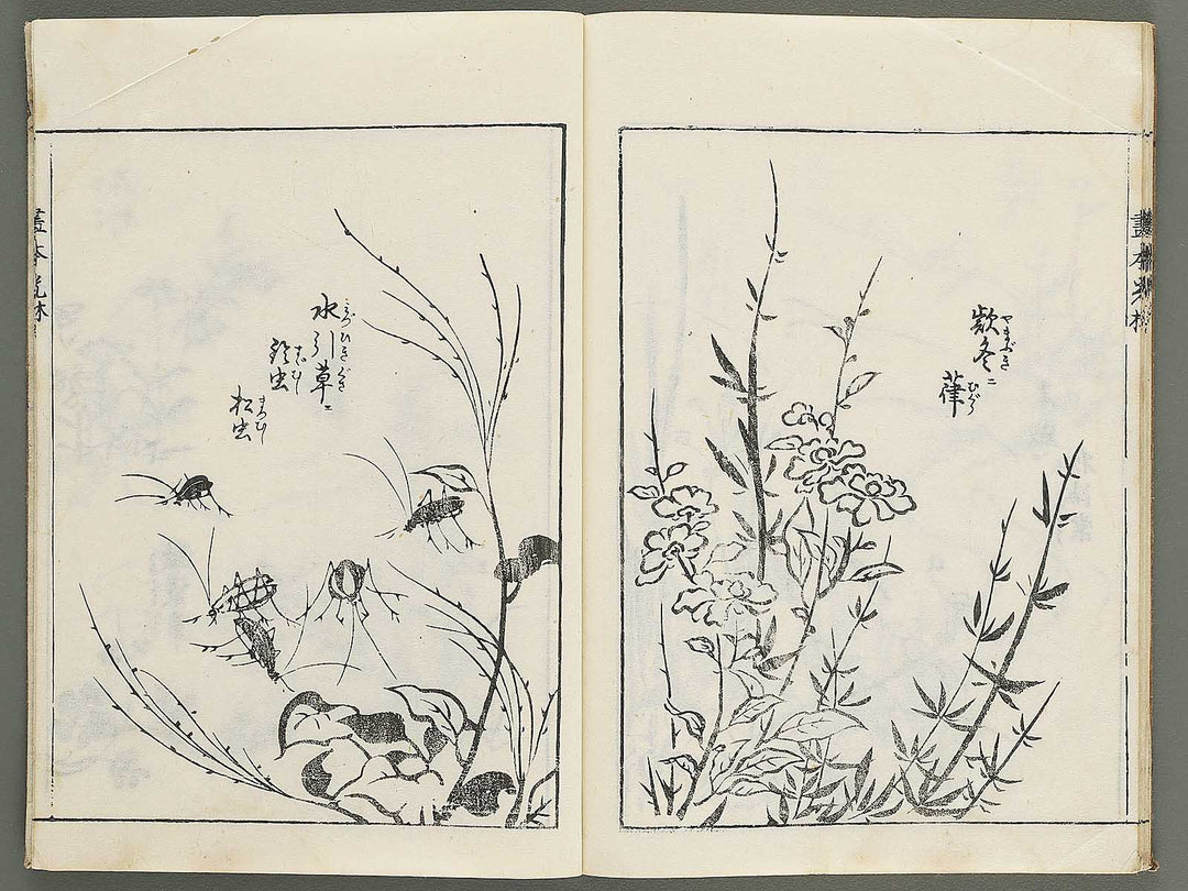 Korin michishirube by Nonomura Chubee / BJ351-134