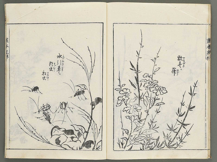Korin michishirube by Nonomura Chubee / BJ351-134