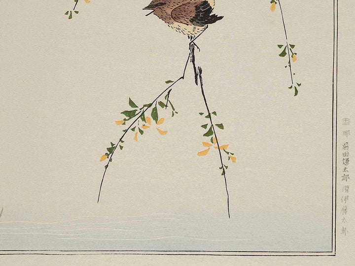 Wren and Snipe from the series Momochidori kyokaawase by Kitagawa Utamaro, (Large print size) / BJ244-958